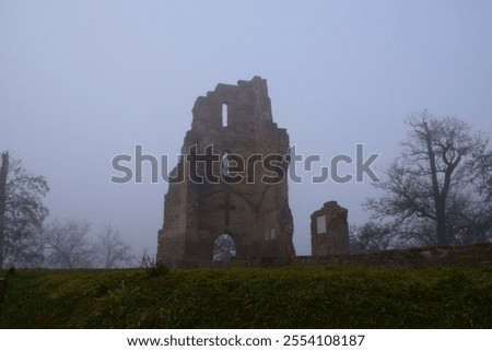 Similar – Image, Stock Photo Overgrown trees in foggy forest under sky