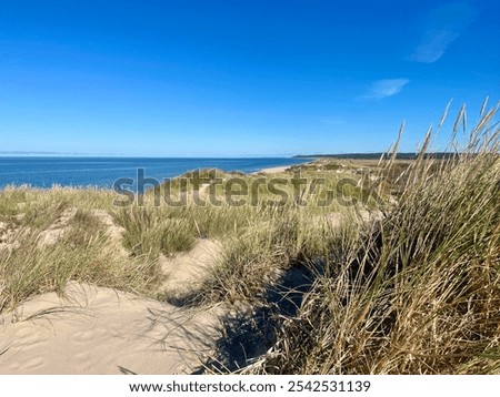 Similar – Foto Bild Ruhiger Tag an dänischem Nordseestrand