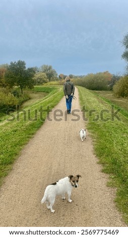 Similar – Foto Bild Spaziergang auf dem Deich