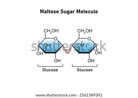 Maltose Sugar Molecule Science Design. Vector Illustration.