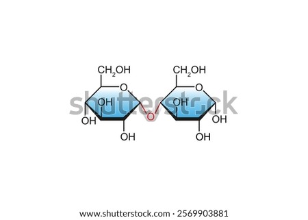 Maltose Sugar Molecule Science Design. Vector Illustration.