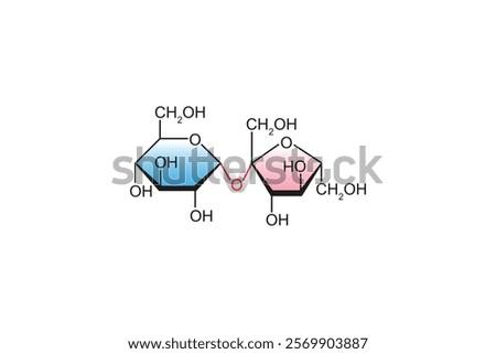 Sucrose Sugar Molecule Science Design. Vector Illustration.