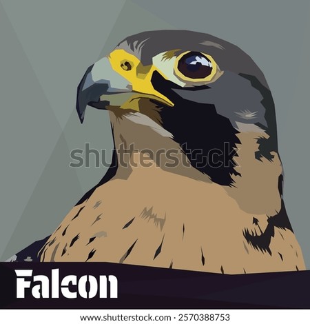 peregrine falcon (Falco peregrinus) head close up