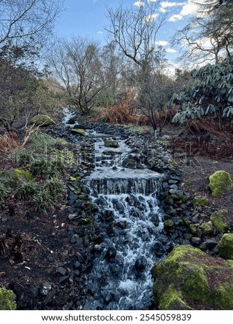 Similar – Image, Stock Photo Waterfall flowing through autumn forest in daylight