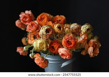 Similar – Image, Stock Photo Ranunculus flowers in a vase