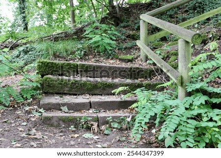 Similar – Image, Stock Photo Path through overgrown stone gate