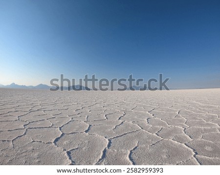 Similar – Image, Stock Photo endless expanse on the northern beach of Borkum