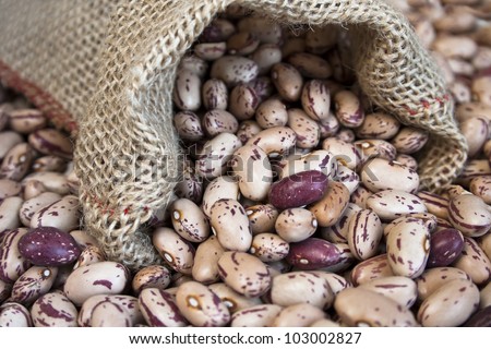 Dry Pinto beans in small bag