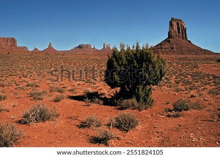 Similar – Image, Stock Photo Monument Valley Juniper