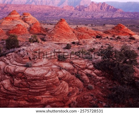 Similar – Image, Stock Photo reserve Tee Pee