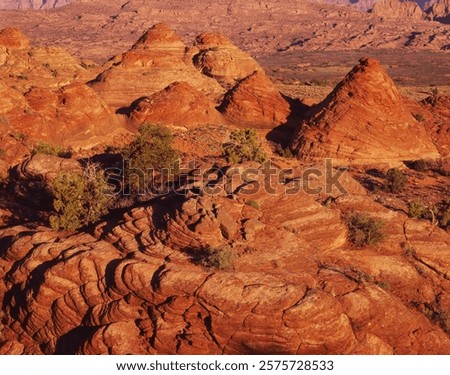 Image, Stock Photo reserve Tee Pee