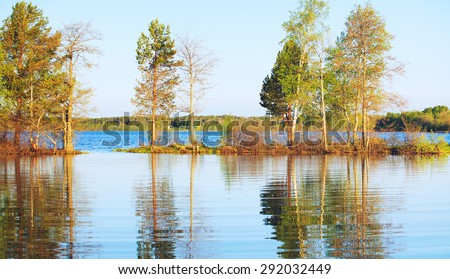 forest lake at summer morning, in Russia, Kareliya