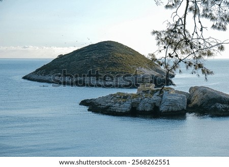 Similar – Image, Stock Photo The small island surrounded by giants in the Ranco lake