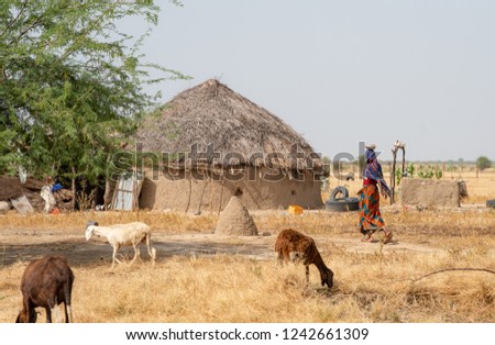 Village in desert and farming villagers people with traditional self-built house. Chad N'Djamena travel, located in Sahel desert and Sahara. Hot weather in desert climate on the Chari river. Foto stock © 
