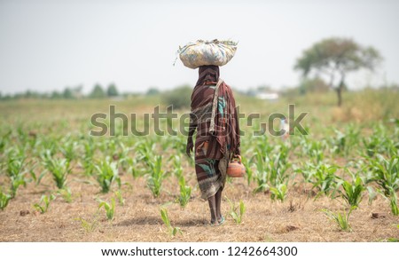 Farmer African girl walking in farm field in Chad N'Djamena travel, located in Sahel desert and Sahara. Hot weather in desert climate on the Chari river in Africa. Foto stock © 