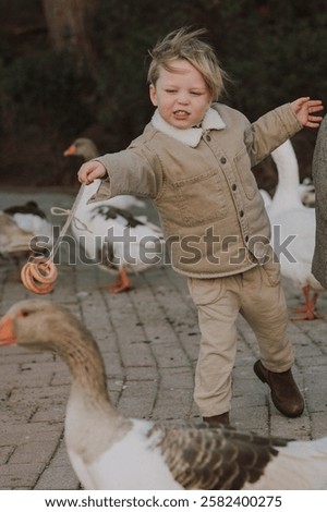 Similar – Foto Bild Zwei Gänse spielen Verstecken. Eine sucht, die andere guckt, ob jemand guckt.