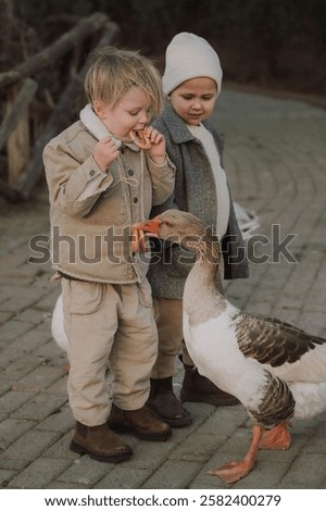 Similar – Foto Bild Zwei Gänse spielen Verstecken. Eine sucht, die andere guckt, ob jemand guckt.