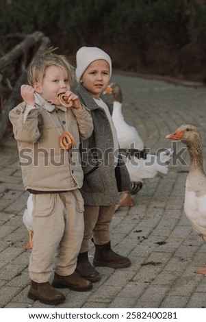 Similar – Foto Bild Zwei Gänse spielen Verstecken. Eine sucht, die andere guckt, ob jemand guckt.