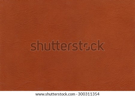 Texture of sheep skin of reddish color.