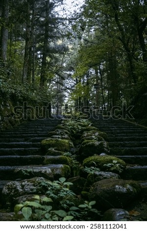 Similar – Image, Stock Photo Path through stone gate overgrown with ivy