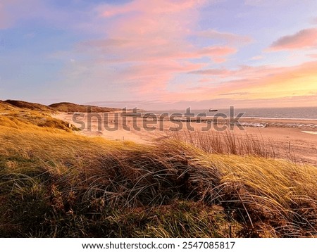 Similar – Image, Stock Photo windswept Wind Walking