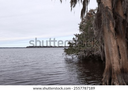 Similar – Image, Stock Photo Tree trunks hang over the surface of the water of Lake Baltieji Lakajai in Labanoras Regional Park, Lithuania. Picturesque autumn landscape