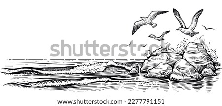 Sea landscape with water waves, seagulls, and rocks. Vector panoramic illustration. Black and white beach sketch.