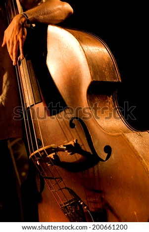 Hand of the musician on the contrabass at the live concert