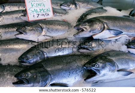 Wild King salmon in Seattle\'s pike place market