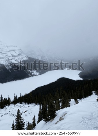 Similar – Image, Stock Photo wonderland Alberta Lake