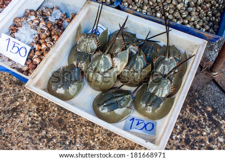 Horseshoe crabs for sale at fresh food market in Samut Sakhon,Thailand.