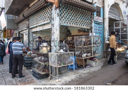 SHIRAZ, IRAN - FEBRUARY 27: View of chicken and hen shop on February 27, 2013 in Shiraz, Iran. In 2009 the population of the city was 1,455,073.