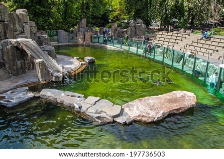 PRAGUE, MAY 12: People visit an exhibit of seals in Prague zoo on May 12, 2014 in Prague, Czech Republic.  In 2007 Forbes Traveler Magazine listed Prague ZOO as the 7th best Zoo in the world.