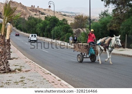FES, MOROCCO - JULY 27: Man on horse cart on July 27, 2010 in Fes, Morocco. Fes center is listed in UNESCO and it is the largest preserved medieval city in the world. Also it\'s one big market.