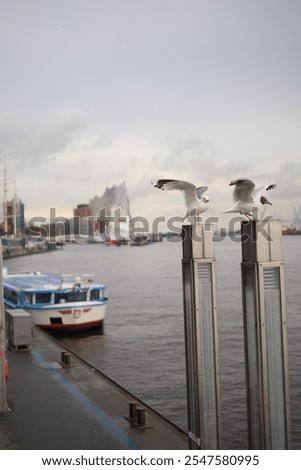 Similar – Image, Stock Photo Seagull on a lantern