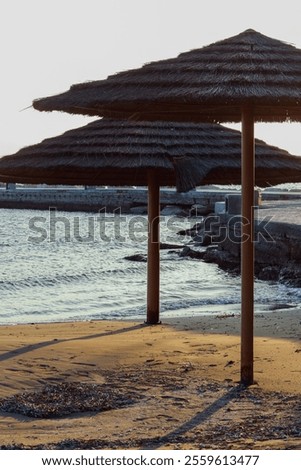 Similar – Image, Stock Photo two straw beach umbrellas on an empty seashore on a clear day