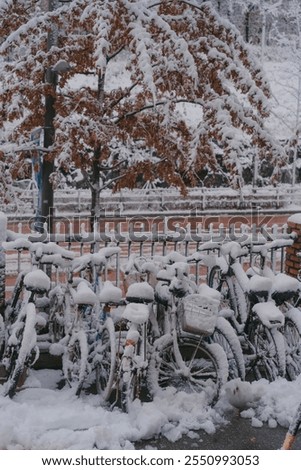 Similar – Foto Bild Blaugefroren Schnee