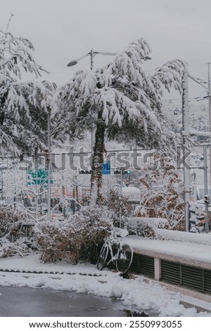 Similar – Foto Bild Blaugefroren Schnee