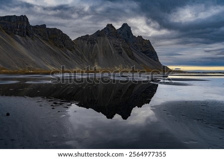 Similar – Foto Bild Dünen mit grünem Moos und hohem Gras und Schafen auf der Insel Sylt