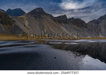 Similar – Foto Bild Dünen mit grünem Moos und hohem Gras und Schafen auf der Insel Sylt