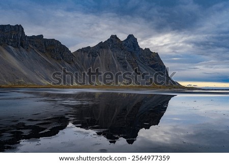 Similar – Foto Bild Dünen mit grünem Moos und hohem Gras und Schafen auf der Insel Sylt