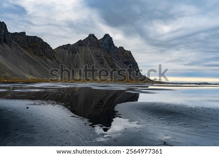 Similar – Foto Bild Dünen mit grünem Moos und hohem Gras und Schafen auf der Insel Sylt