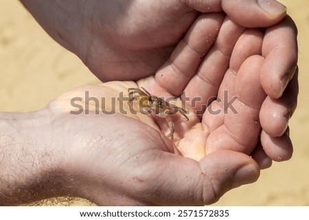 Similar – Image, Stock Photo Baby spends some time in intensive care, you may initially be put off by the amount and complexity of the equipment. But bonding with your baby is still important.