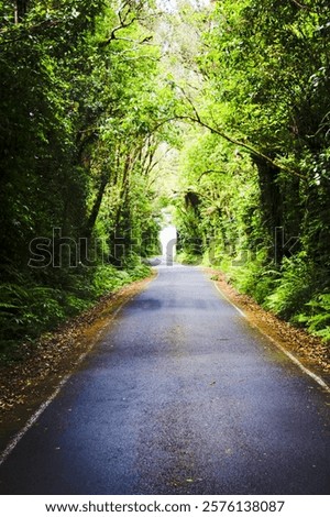 Similar – Foto Bild Gerade Straße in einer Allee von trockenen Bäumen ohne Blätter im Winter / Anfang Frühling Luftaufnahme