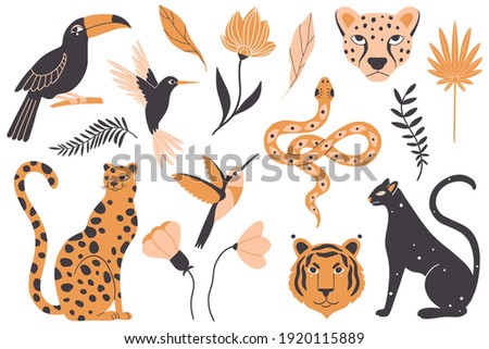 Tropical exotic animals, birds and plants. Leopard, panther, tiger, hummingbird, snake, toucan, wild flowers and leaves. Vector illustration.  Animals and plants in the jungle, rainforest. Wildlife