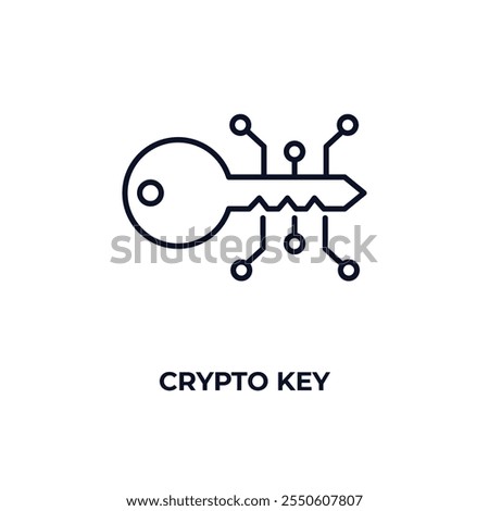 crypto key  outline icon. Linear vector from cryptocurrency concept. Thin line crypto key  icon isolated on white background