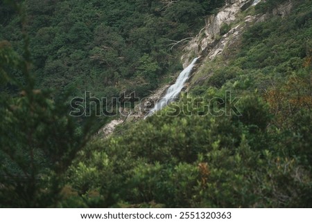 Similar – Image, Stock Photo Waterfall flowing through autumn forest in daylight