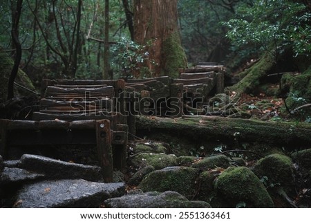 Similar – Image, Stock Photo grungy landscape with big tree shadow and massive dark vignette. crooked horizont.