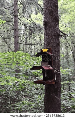 Similar – Image, Stock Photo Small grove on empty dry field