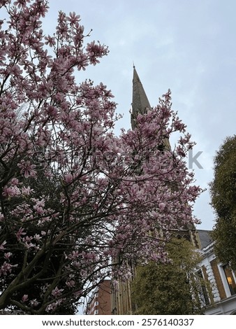 Similar – Image, Stock Photo steeple in front of sky